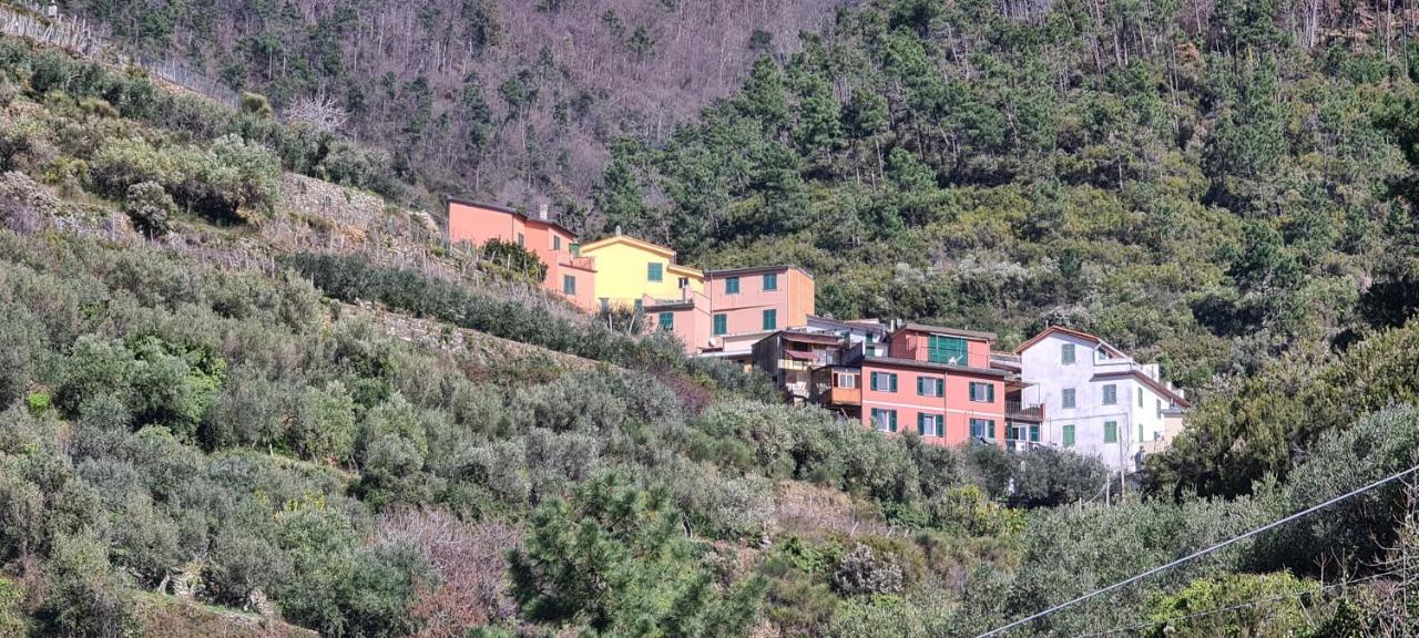 ☆ Terrace & Relax ☆ Casa Franceschin_ Homy 5 Terre Villa Riomaggiore Ngoại thất bức ảnh