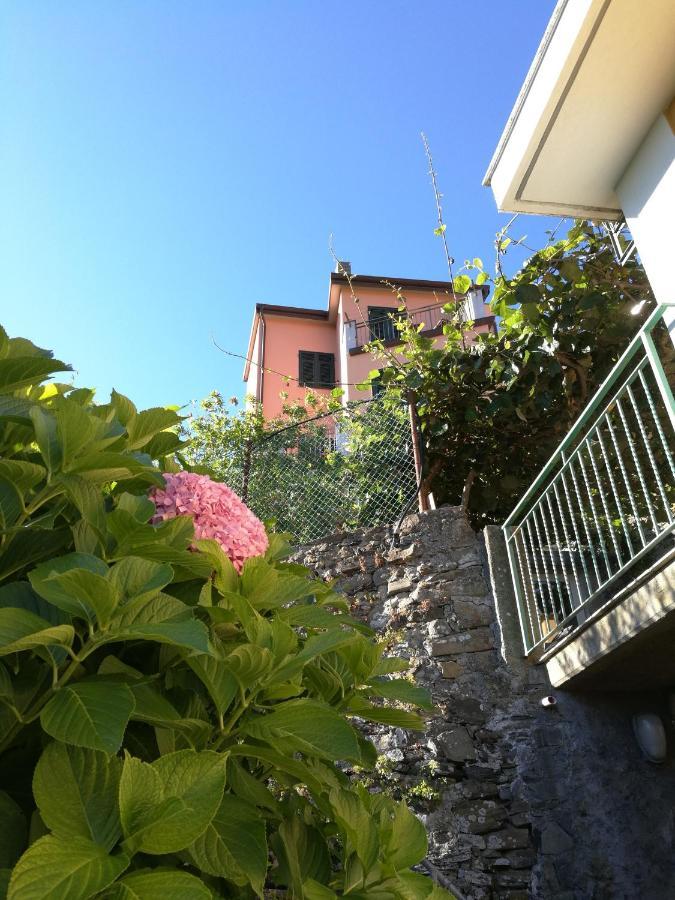 ☆ Terrace & Relax ☆ Casa Franceschin_ Homy 5 Terre Villa Riomaggiore Ngoại thất bức ảnh